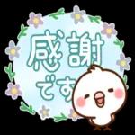 毎日しろちゃん16♥ゆる敬語_-