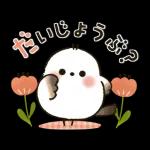 long tailed tit Rainyseason early summer