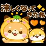 秋に役立つ♡豆柴日和
