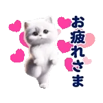 踊る！ペルシャ猫