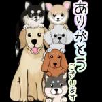 OK
り
ちょーかい