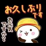 パンダ&ひよこ 真夏の長文