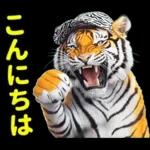 大阪神戸の野球好き虎ファン向け2