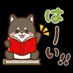 黒豆柴 あずき♡毎日使える 秋冬ver