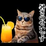 夏☆にゃんこ