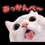 可愛い猫スタンプ！！