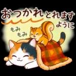 三毛猫のつめあわせ【秋】