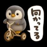ゆるふわペンギンの夏