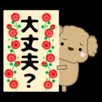 🐶犬の冒険物語