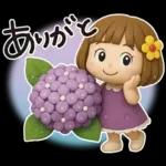 はな子✿3Dちびドールver.（梅雨〜夏）