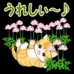 ころころ子猫 春の野原でかくれんぼ