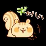 シマリスのマリーちゃん