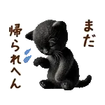 関西弁♡動く猫ぬいの家族連絡(黒猫)