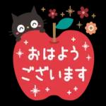 黒ネコの気遣い日常〜🐈‍⬛