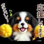 会話がはずむ日常メッセージ＊