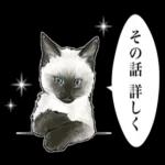 SHIROM
てはまたー