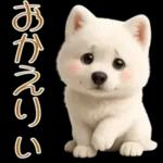 白いモフモフ～その名はサモエド！２