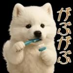 白いモフモフ～その名はサモエド！２