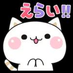 気づかいのできるネコ♪