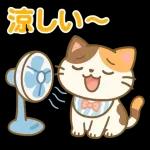 雨の多い夏に暮らす三毛猫の物語