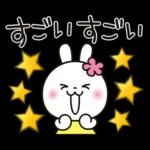 優しい2!!かわいい白うさぎ