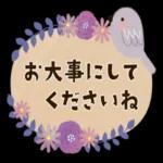 今日の癒しと元気をお届けますよ〜
