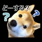 Premium 柴犬こてつ君*スタンプ第二弾