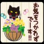 大人女子の日常【やさしい言 【葉】