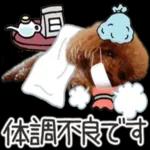 トイプーらっちゃんのなりきり編<日常言葉>
