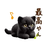 関西弁♡動く猫ぬいの家族連絡(黒猫)