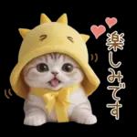 スコティッシュ猫 可愛い日常 太陽帽 敬語