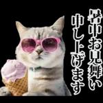 夏☆にゃんこ