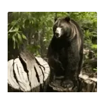 you are the love of my life!