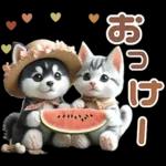 夏 猛暑 酷暑♡シベリアンハスキーとネコ