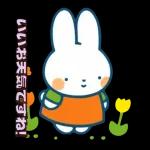 ミッフィーの幸せな暮らし