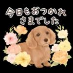 大人かわいい♡いぬと花のスタンプ