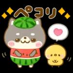 熱中症に気をつけて🫠🫠🫠