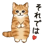 いらっしゃいませ