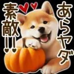 喜怒哀楽の激しい柴犬の野菜ダンス
