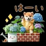 今日も頑張ったね！！