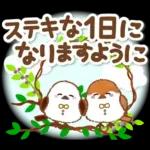シマエナガの毎日の健康管理と疲労を応援♪