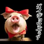 リアル☆メスブタ 3