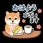 いつもありがとう
ございます