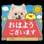 かわいいわんちゃん