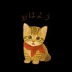 子猫のとらの日常スタンプ