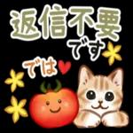 夏☆猫たちのスタンプ_-_