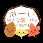 秋の定番❤️毎日使える優しい日常