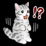 かわい!! ぴょんこ