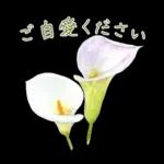 午後はちょっと休憩～～	前進の原動力😆😆😆