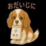 キャバリアのマシューくん
